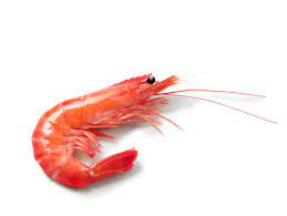 L1 (10-20) RAW ARGENT. HEAD ON LANGOSTINO - 2KG
