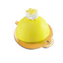 MIMOSA MONO x 12  - MARIGLIANO