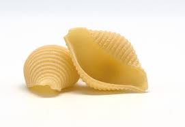 PASTA SECCA SICILIANA CONCHIGLIE 500G