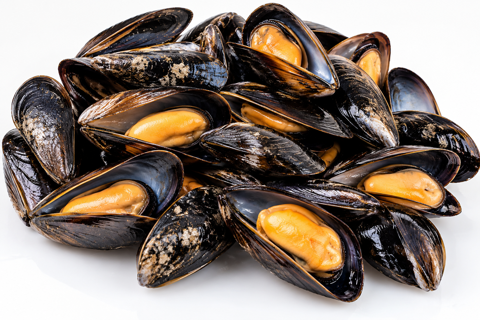 9KG BOX MEJILLON ENTERO (WHOLE MUSSELS WITH SHELL) 50/80 - WOFCO