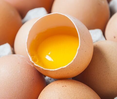 Eggs Products