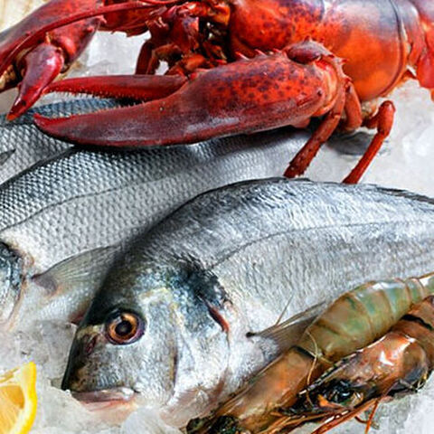 Fish & Sea Food