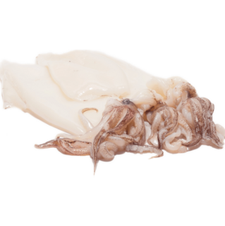 SEAHAWK SQUID TUBE AND TENTACLES 10/20 1KG