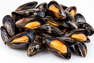 9KG BOX MEJILLON ENTERO (WHOLE MUSSELS WITH SHELL) 50/80  - WOFCO